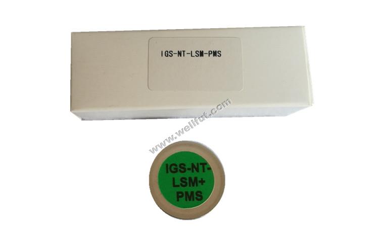 ?IGS-NT-LSM+PMS